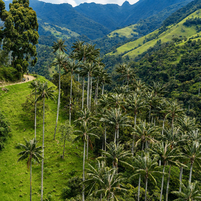 Epic Andes premium mountain bike tour in Colombia