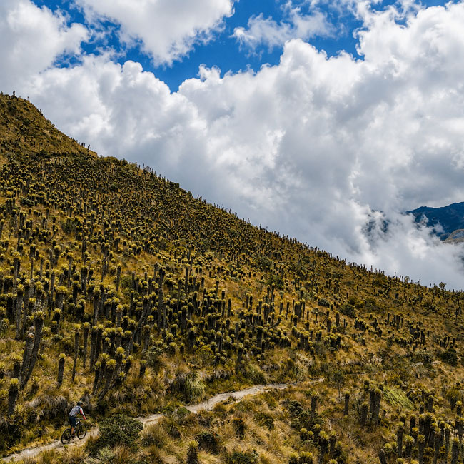 Epic Andes premium mountain bike tour in Colombia
